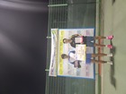 KakaoTalk_20240723_123735258_07.jpg : 580 x 435